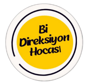 Bidireksiyon Logo